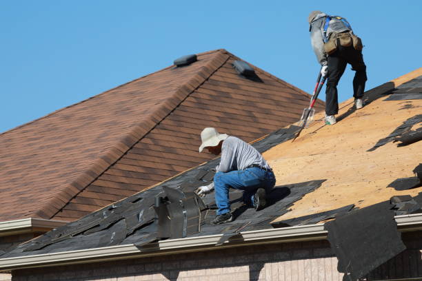 Best Gutter Installation and Repair  in Horse Shoe, NC